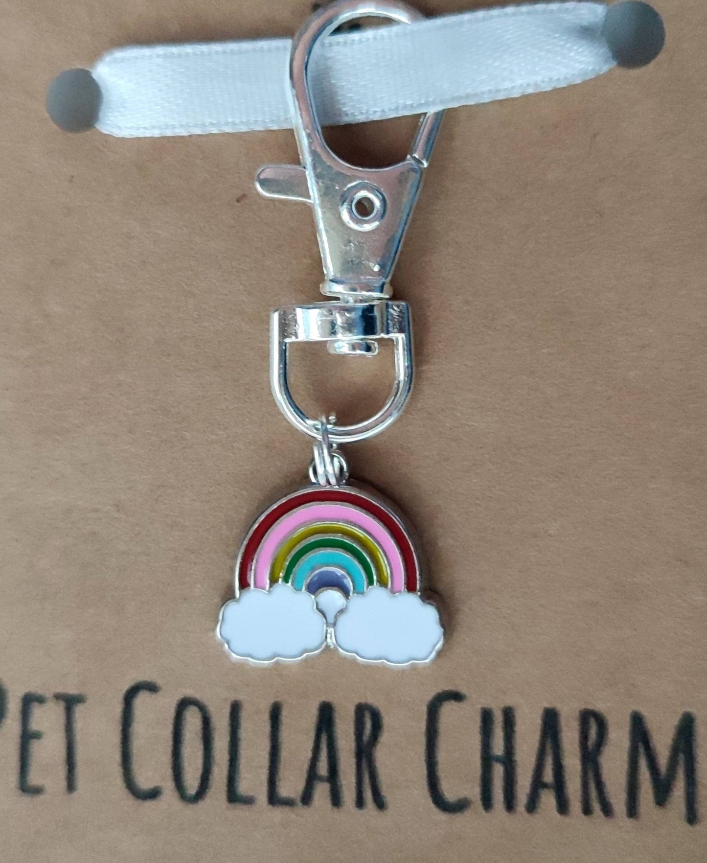 Rainbow pet collar charm - keyring - dog collar charm