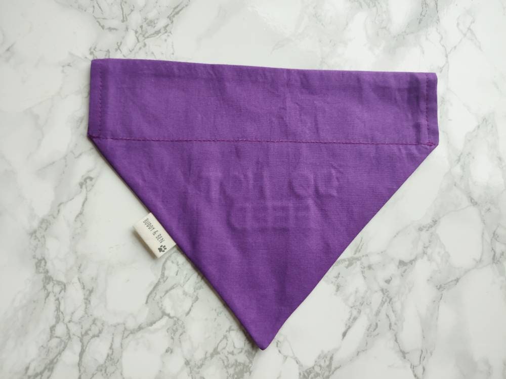 Do Not Feed dog bandana - dog warning dog bandana