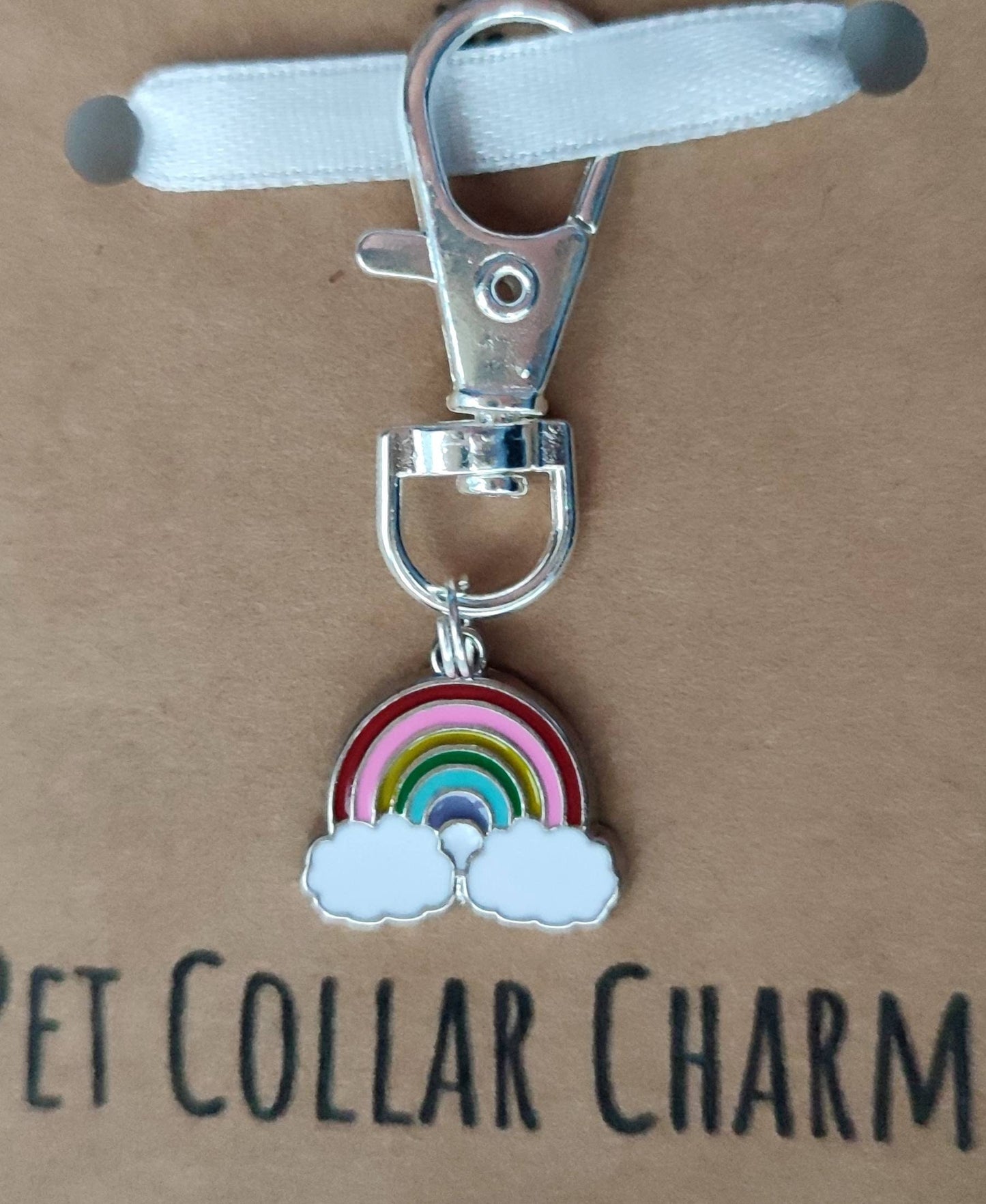 Rainbow pet collar charm - keyring - dog collar charm