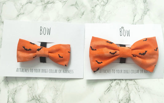 Halloween orange bat dog bow
